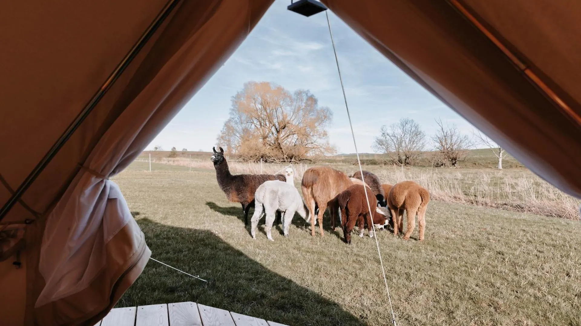 Boho Zelt Lebenshofalpakas Ziemetshausen Germany